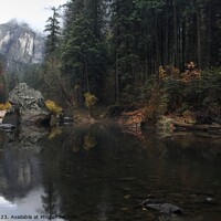 Buy canvas prints of Yosemite national park in the fall by Arun 