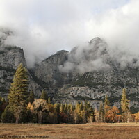 Buy canvas prints of Yosemite national park in the fall by Arun 