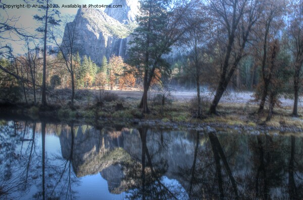 Yosemite national park in the fall Picture Board by Arun 