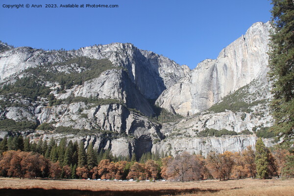 Yosemite national park Picture Board by Arun 