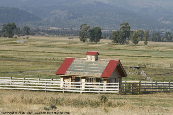 Farm house at Yellowstone national park in Wyoming USA Picture Board by Arun 
