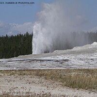 Buy canvas prints of Old faithful geyser at Yellowstone national park in Wyoming USA by Arun 