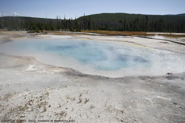 Sulfur Geysers at Yellowstone national park in Wyoming USA Picture Board by Arun 