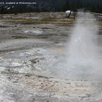 Buy canvas prints of Sulfur Geysers at Yellowstone national park in Wyoming USA by Arun 
