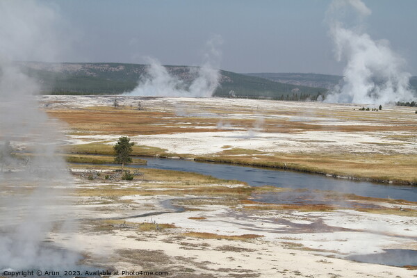 Geysers at Yellowstone national park in Wyoming USA Picture Board by Arun 