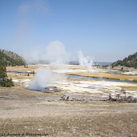Buy canvas prints of Geysers at Yellowstone national park in Wyoming USA by Arun 