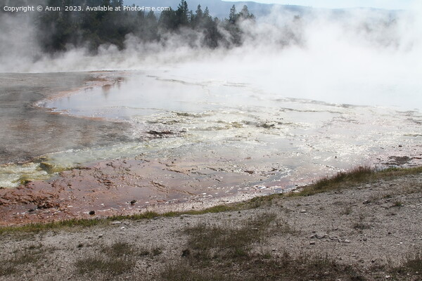 Geysers at Yellowstone national park in Wyoming USA Picture Board by Arun 