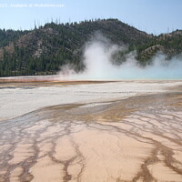 Buy canvas prints of Geysers at Yellowstone national park in Wyoming USA by Arun 