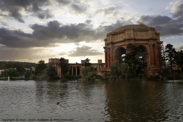 Palace of Fine Arts in San Francisco California Picture Board by Arun 