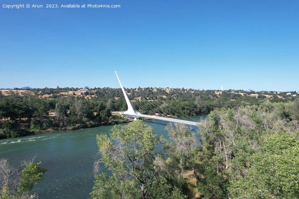 Aerial view of Sundial bridge in Redding california Picture Board by Arun 