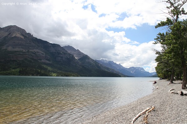 Waterton Lakes, Alberta, Canada Picture Board by Arun 