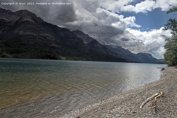 Waterton Lakes, Alberta, Canada Picture Board by Arun 