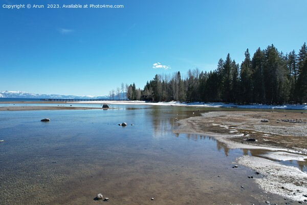 Lake tahoe Sugar Pine state park Picture Board by Arun 