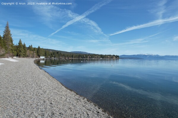 Lake tahoe Sugar Pine state park Picture Board by Arun 