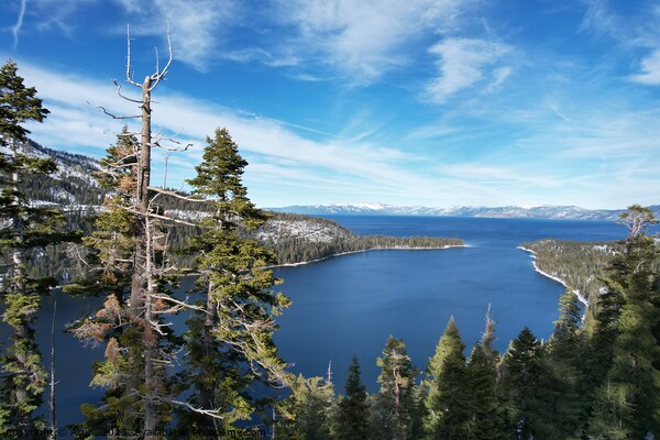 Lake Tahoe in the winter from the air Picture Board by Arun 