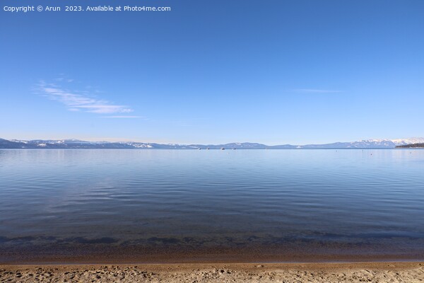 Lake Tahoe in the winter Picture Board by Arun 