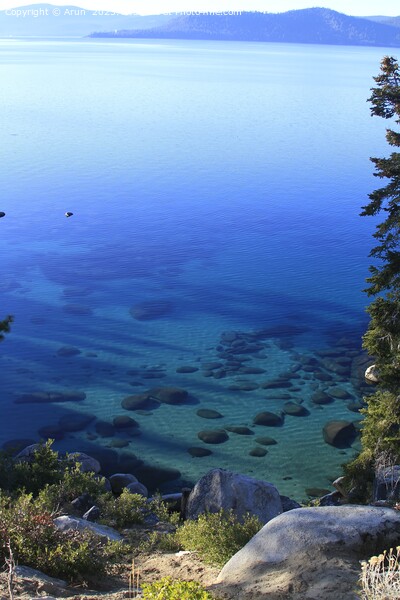 Tahoe California Picture Board by Arun 