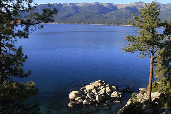 Tahoe California Picture Board by Arun 