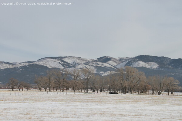 Winter Landscape in New Mexico Picture Board by Arun 