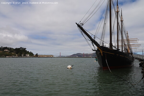 Maritime Museum of San Francisco California Picture Board by Arun 