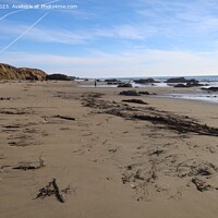 Buy canvas prints of Beach at San Simeon California by Arun 