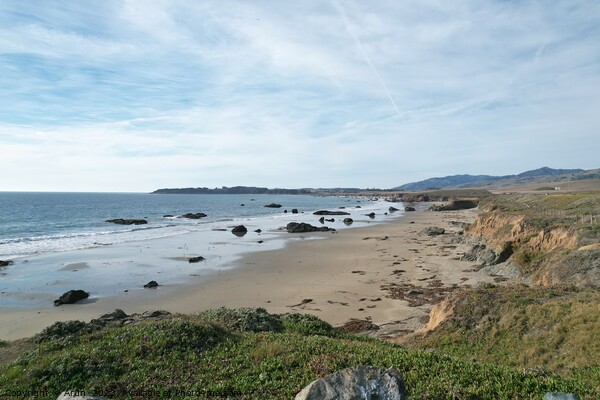 Beaches, marshes and cliffs at San Simeon  California Picture Board by Arun 