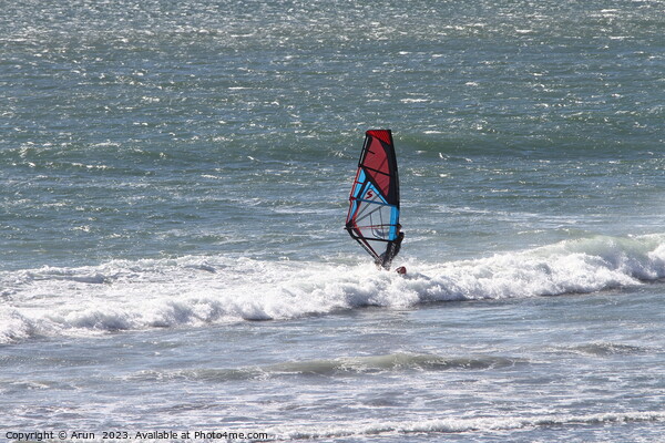 Windsurfer on coastline of oregon Picture Board by Arun 