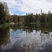 Buy canvas prints of Big Bear Lake at Eureka Plumas Forest, California by Arun 