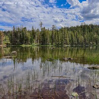 Buy canvas prints of Big Bear Lake at Eureka Plumas Forest, California by Arun 