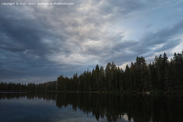  Gold Lake at Eureka Plumas Forest, Lake Basin, California Picture Board by Arun 