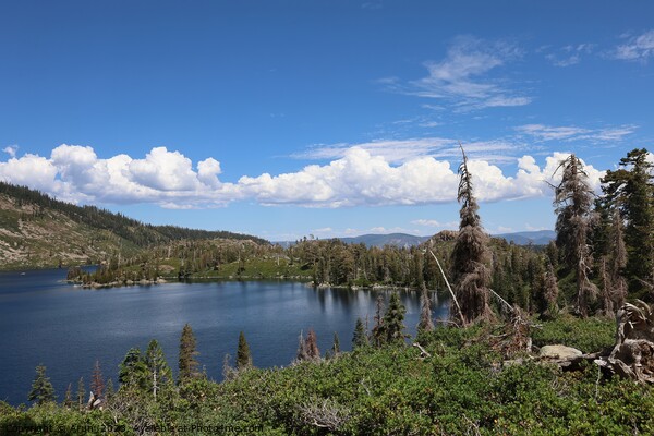  Silver lake at Eureka Plumas Forest, Lake Basin, California Picture Board by Arun 