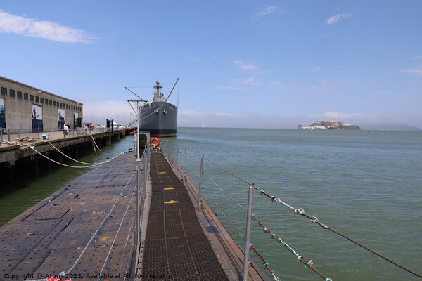 USS Pompanito and USS Jeremy O Brian in California Picture Board by Arun 