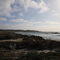 Buy canvas prints of 17 mile drive in Pebble beach, Monterey, California by Arun 