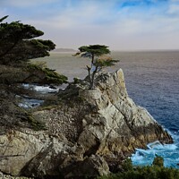 Buy canvas prints of 17 mile drive in Pebble beach, Monterey, California by Arun 