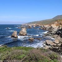 Buy canvas prints of Garrapata State Park in California by Arun 