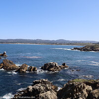 Buy canvas prints of Point Lobos State park in California by Arun 