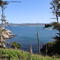 Buy canvas prints of Point Lobos State park in California by Arun 