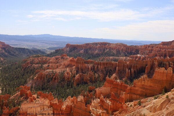 Bryce Canyon National Park Picture Board by Arun 