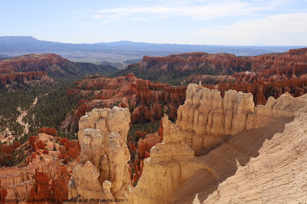 Bryce Canyon National Park Picture Board by Arun 