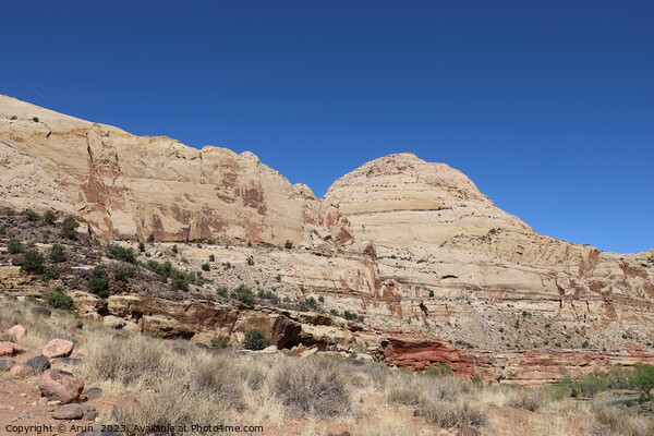 Capitol Reef national park Utah Picture Board by Arun 