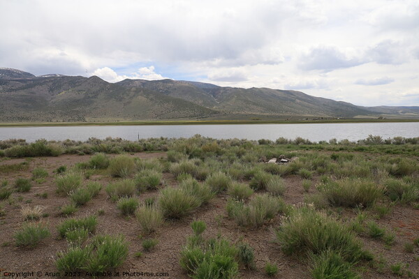 Koosharem lake and valley, Utah Picture Board by Arun 