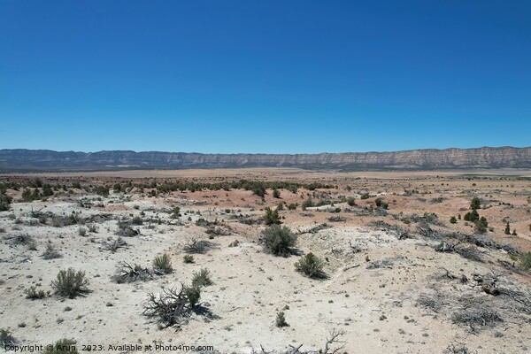 Desert landscape Utah Picture Board by Arun 