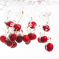 Buy canvas prints of Red cherries splashing into crystal clear water with air bubbles. Isolated on a white background. by Przemek Iciak