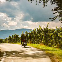 Buy canvas prints of View from famous wine street in south styria, Austria. by Przemek Iciak