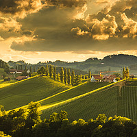 Buy canvas prints of Landscape of Austrian vineyards in south Styria, E by Przemek Iciak
