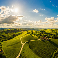 Buy canvas prints of Vineyards, aerial panorama in Austria, Europe by Przemek Iciak