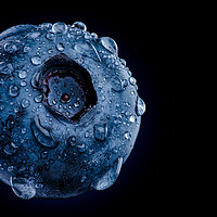 Buy canvas prints of Macro shoot of blueberry against black background by Przemek Iciak