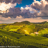 Buy canvas prints of Vineyards in Austria panorama, famous destination with wine road in south Styria. Wine country in summer. Tourist destination. by Przemek Iciak