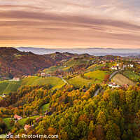 Buy canvas prints of Aerial panorama of Vineyard on an Austrian countryside with a church in the background by Przemek Iciak