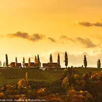 Buy canvas prints of South styria vineyards landscape, Tuscany of Austria. Sunrise in autumn. by Przemek Iciak